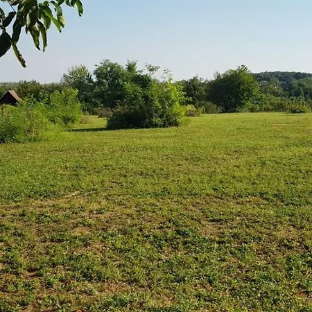 Hotel Balaton And Wine Natural Place *