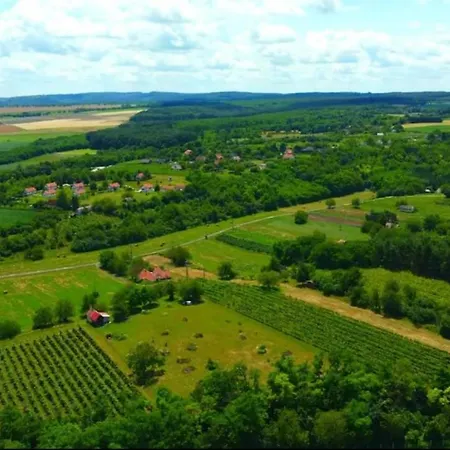 Balaton And Wine Natural Place
